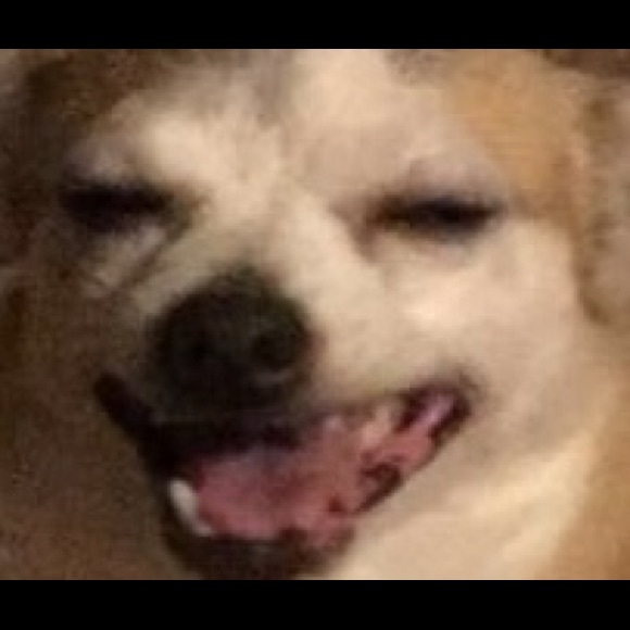 Meet your Posher, Laura - Picture 1 of 1