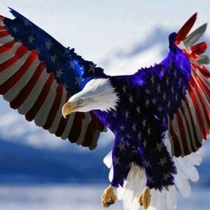 Meet your Posher, Ann