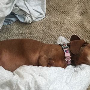 Meet your Posher, Peggy