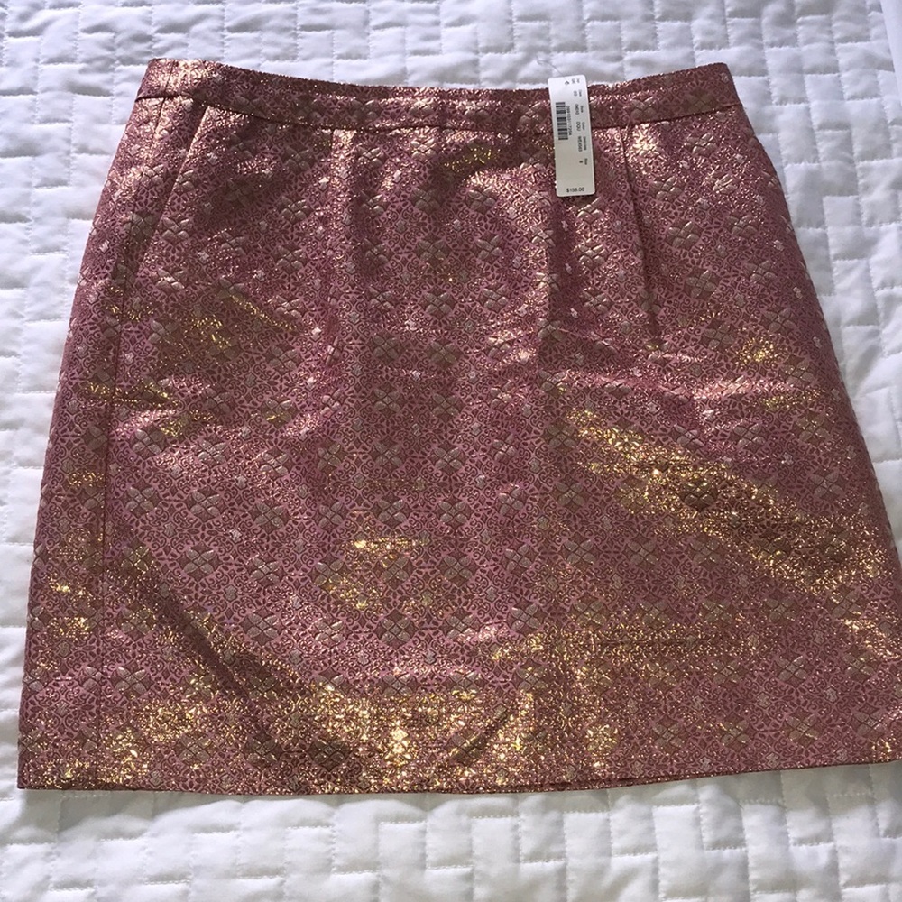 Brand new skirt from JCrew