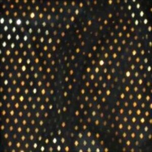 Lularoe elegant Lucy size small