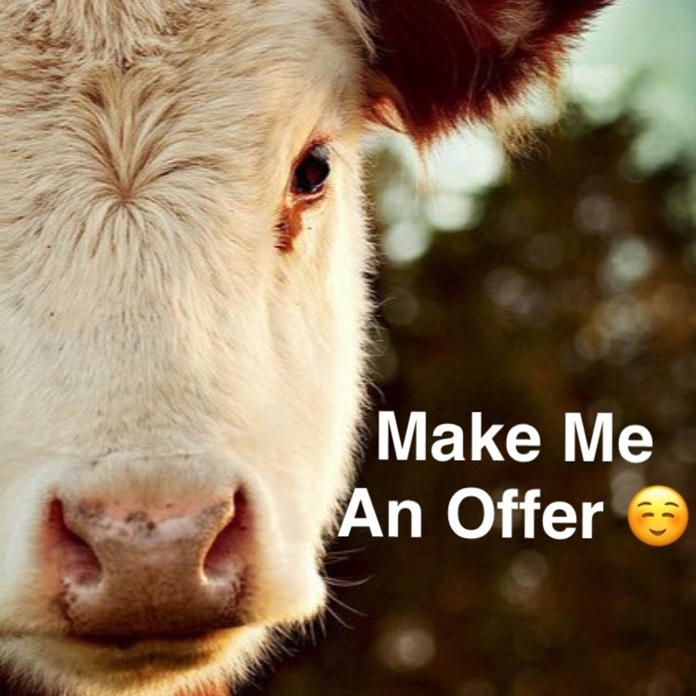 Almost all reasonable offers are accepted ☺️!