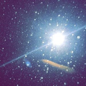 Meet your Posher, Logan