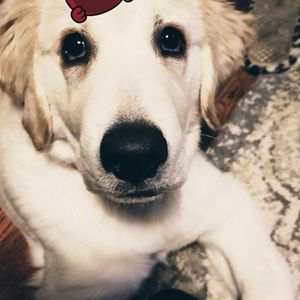 Meet your Posher, Eve