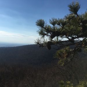 Meet your Posher, Cora