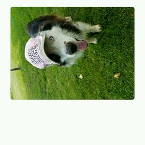 Meet your Posher, Jodi