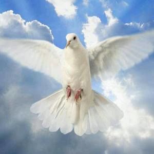 Meet your Posher, Vilma