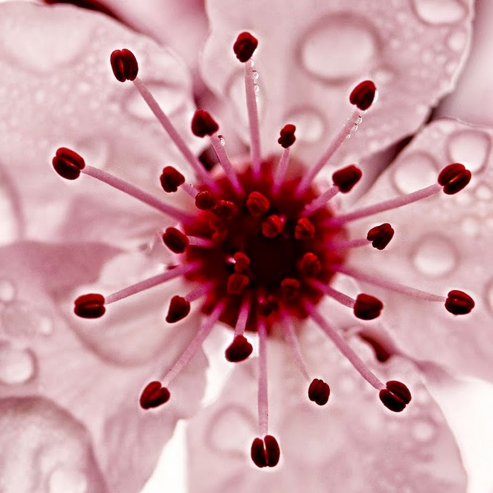 Meet your Posher, Julia