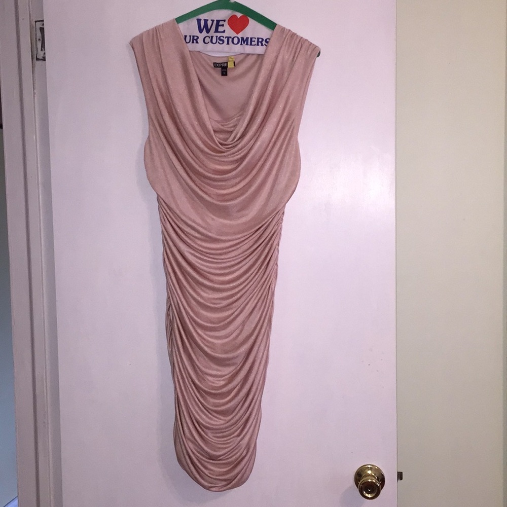Express Pink Dress
