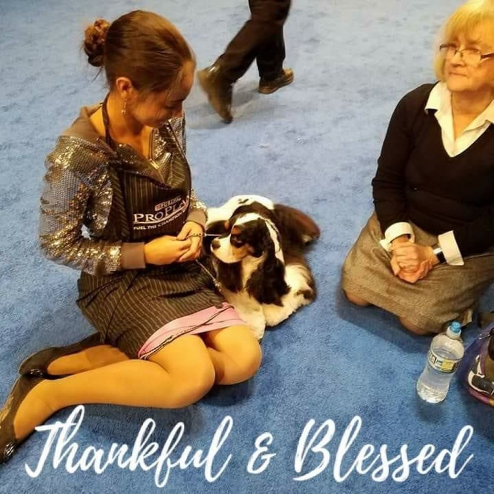 Meet your Posher, Abigail