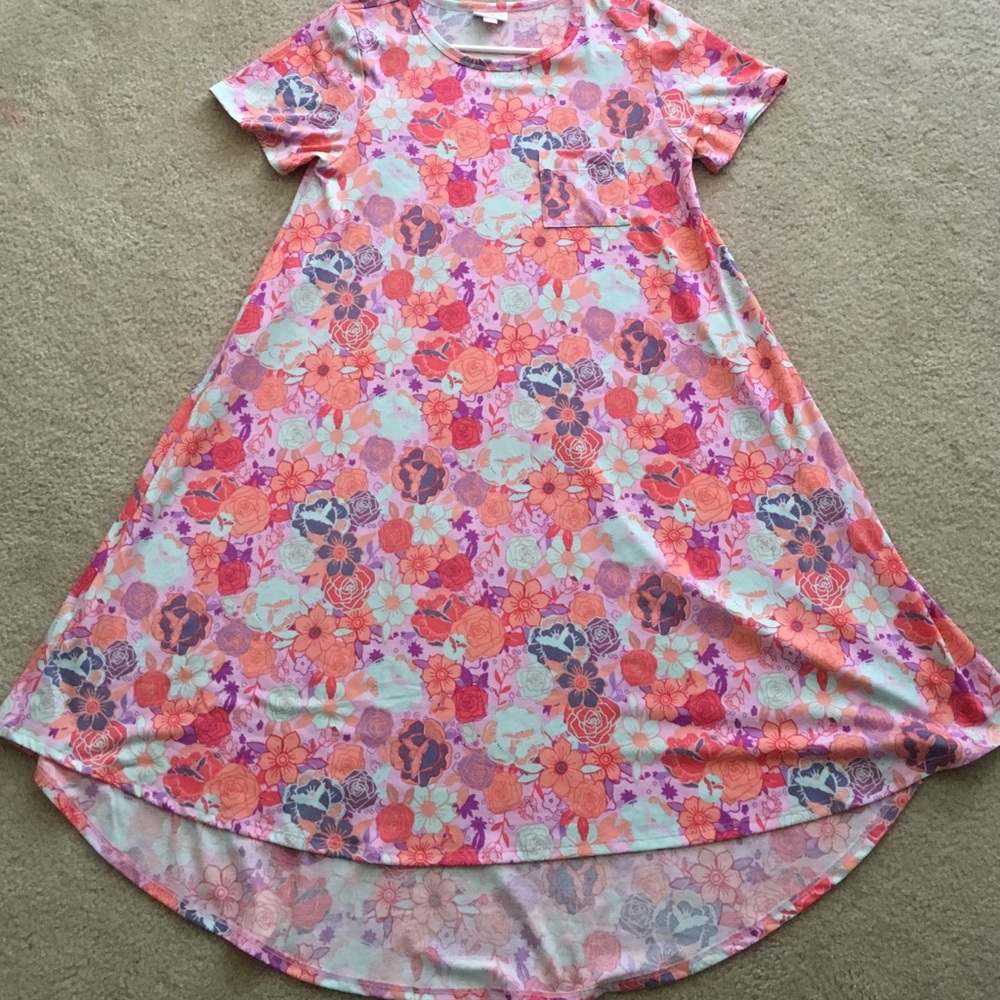 NWPT LULAROE CARLY DRESS