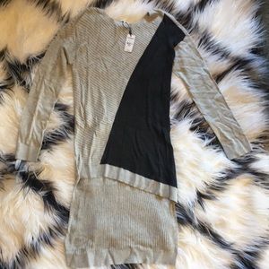 Express Tunic Sweater