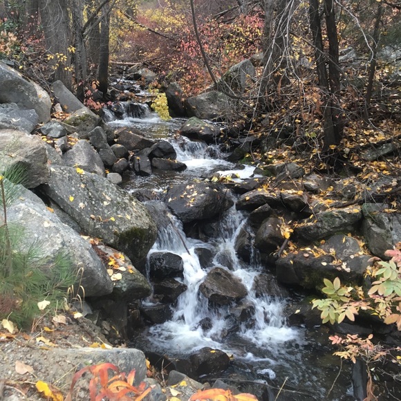 Meet your Posher, Karen - Picture 2 of 2