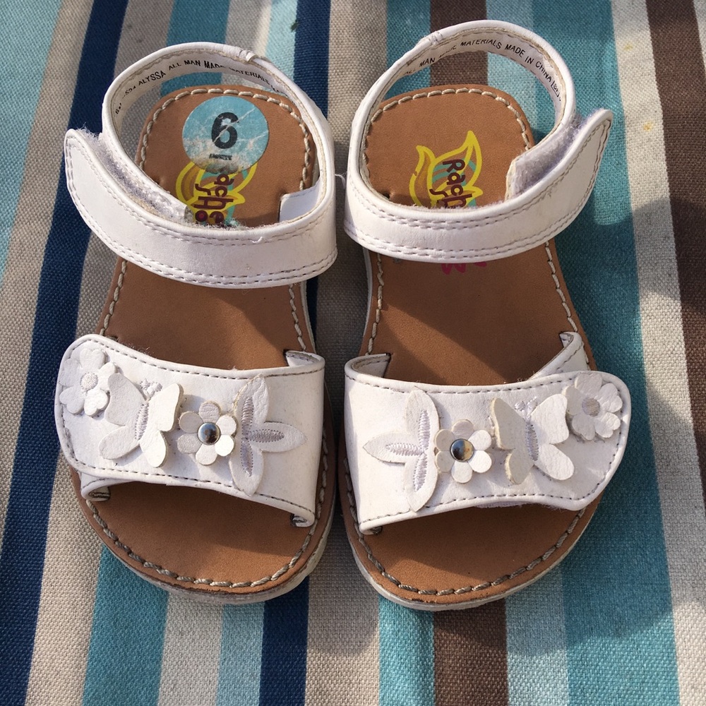 Flowers 🌸 and Butterflies🦋