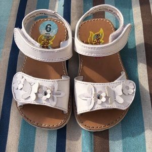 Flowers 🌸 and Butterflies🦋