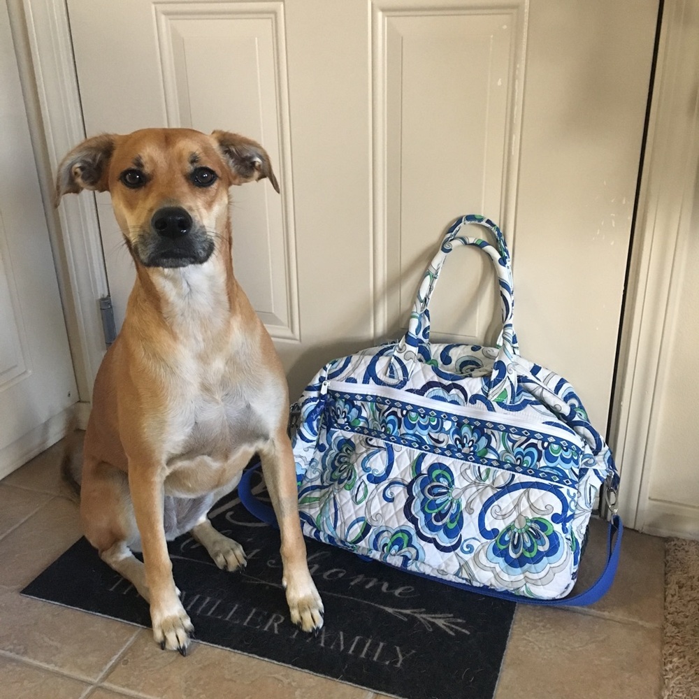 Small Vera Bradley Duffel