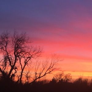 Meet your Posher, Jaxon