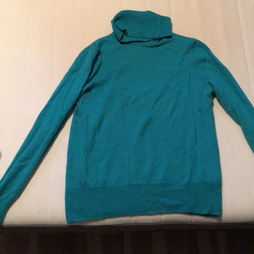 Teal wool JCrew turtle neck sweater
