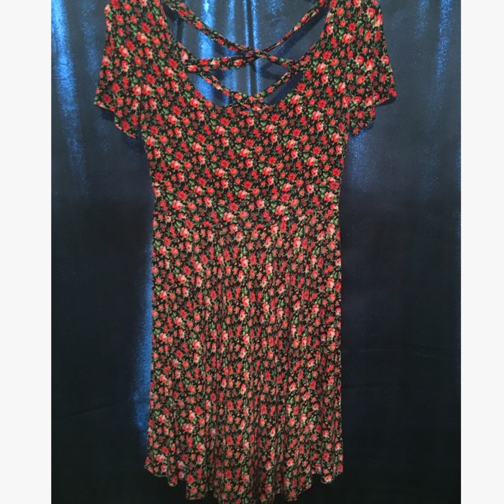 Red and pink roses skater dress