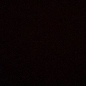 Meet your Posher, Reggie