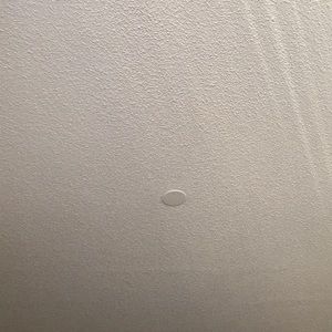 Meet your Posher, Charly