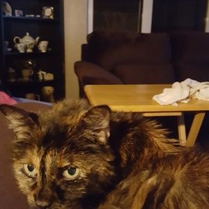 Meet your Posher, Sharon