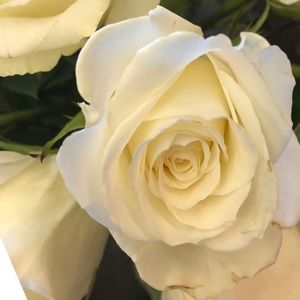 Meet your Posher, Glenna