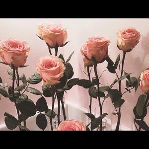 Meet your Posher, Bernice