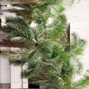 Meet your Posher, Jada