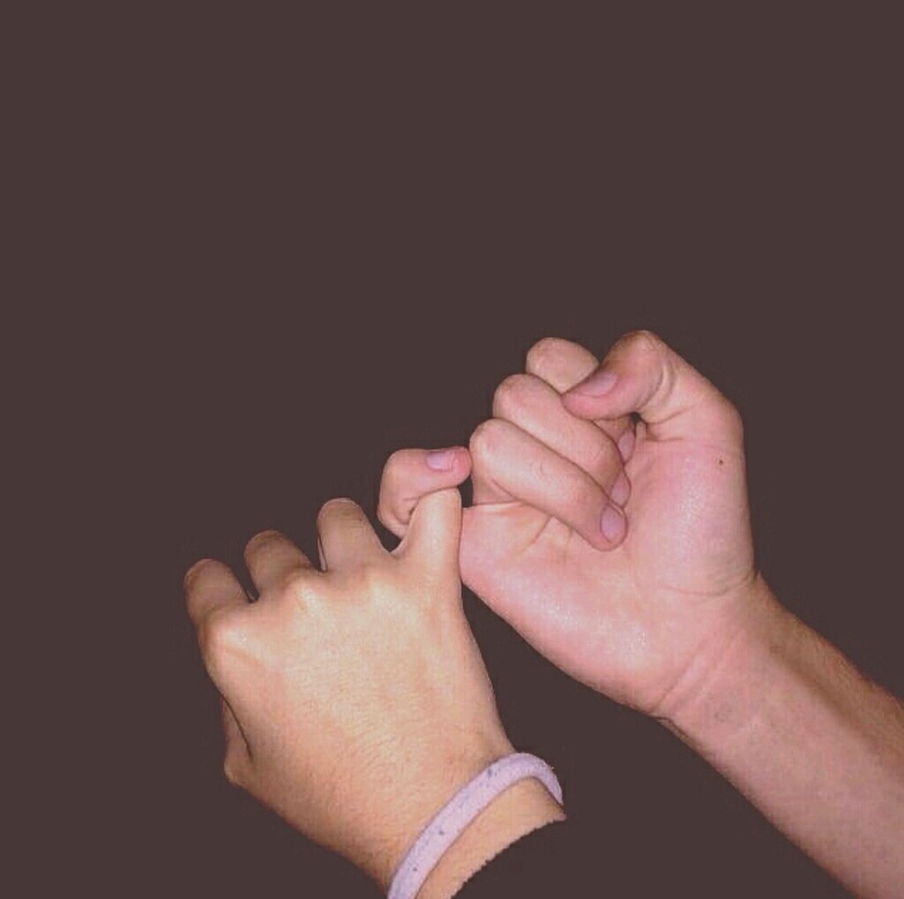 Meet your Posher, Lucy