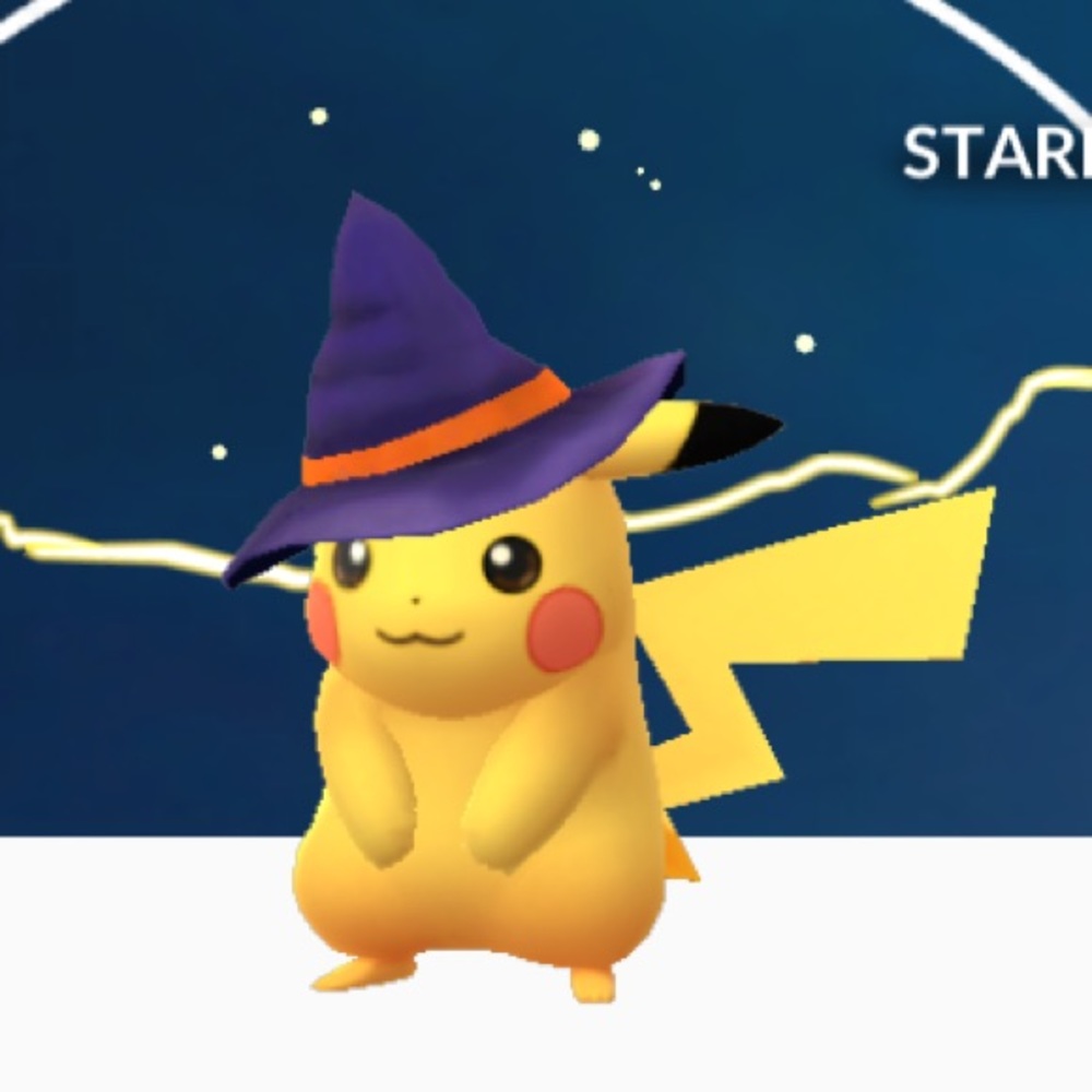 Meet your Posher, Michele