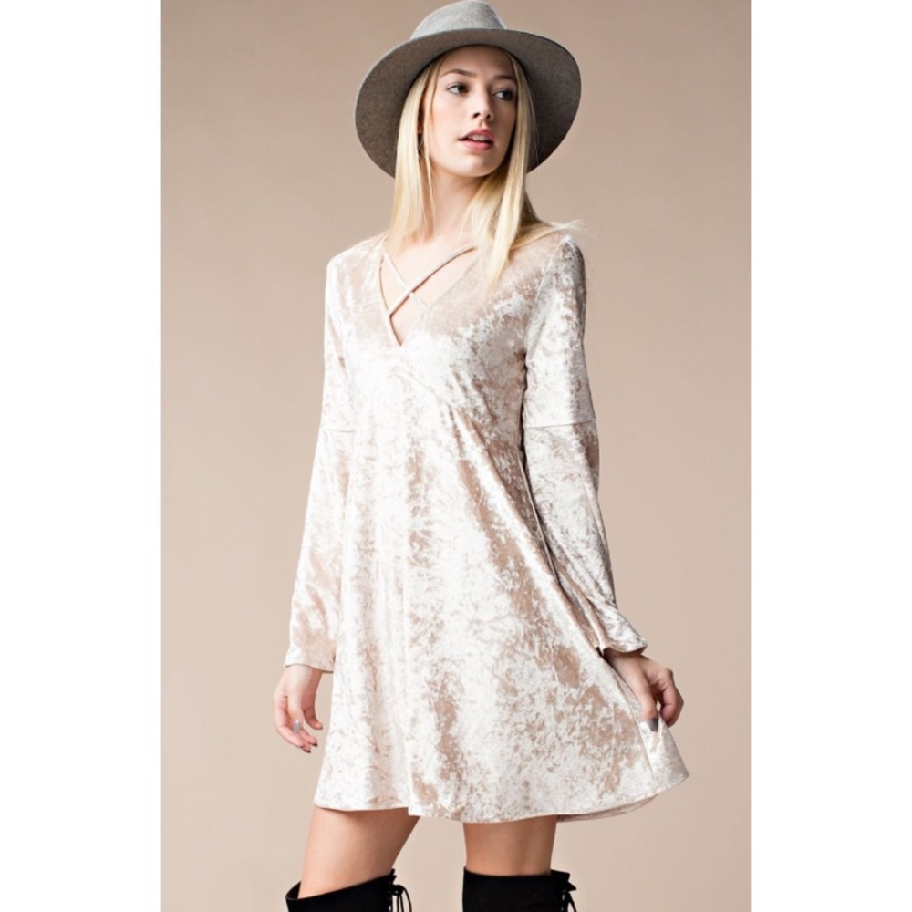 Champagne Bell Sleeves Velvet Flared Dress - Picture 2 of 7