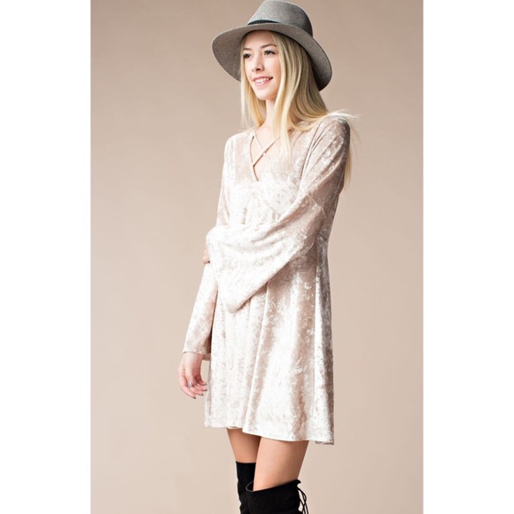 Champagne Bell Sleeves Velvet Flared Dress - Picture 6 of 7