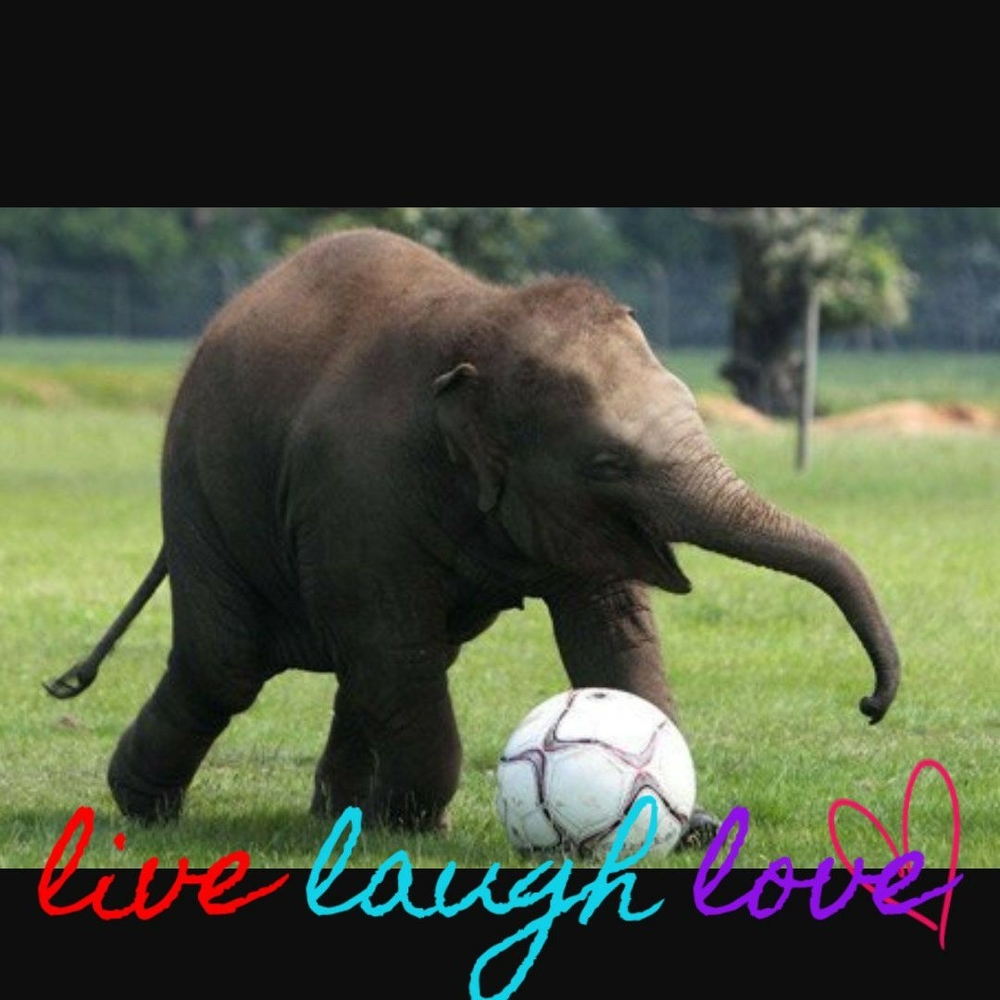 Meet your Posher, Robyn