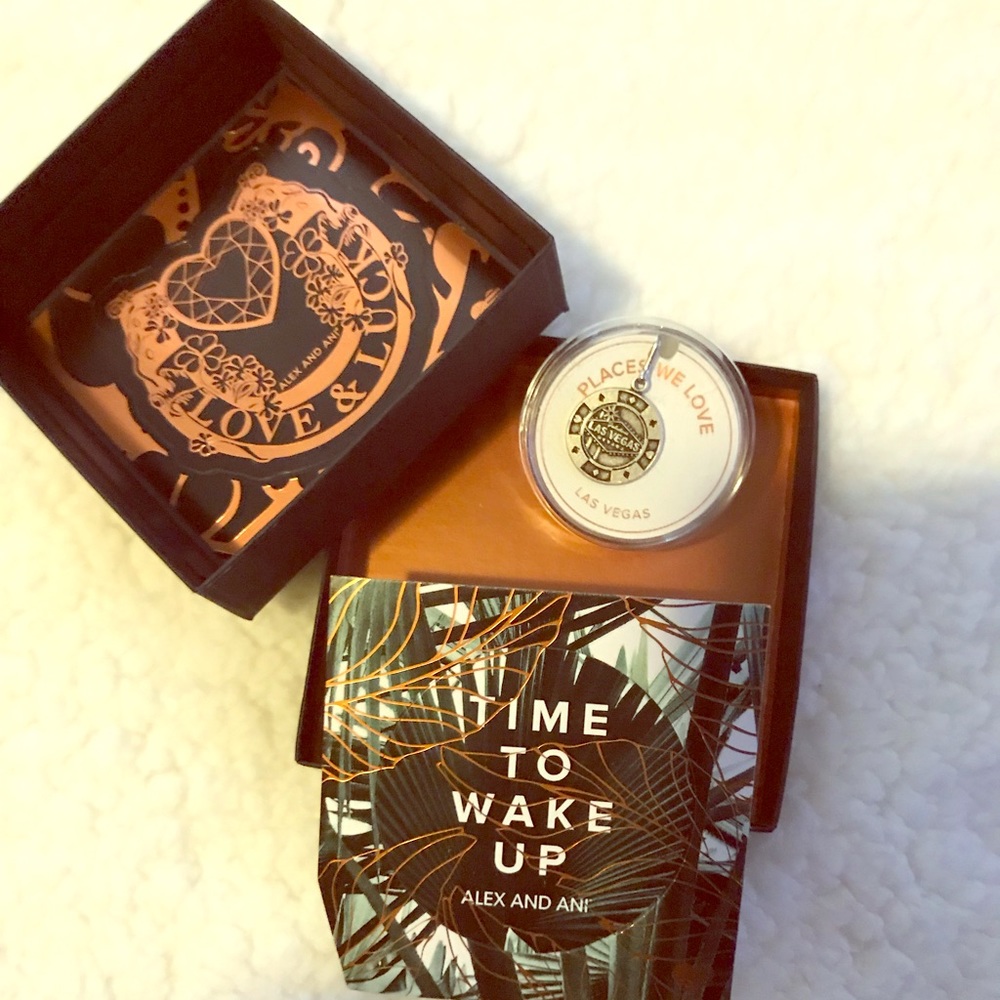 Alex and Ani Necklace Charm