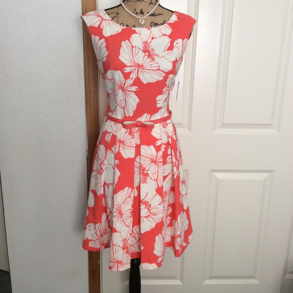 NEW.  Danny and Nicole beautiful dress