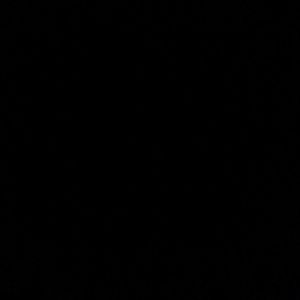 Meet your Posher, Leveille