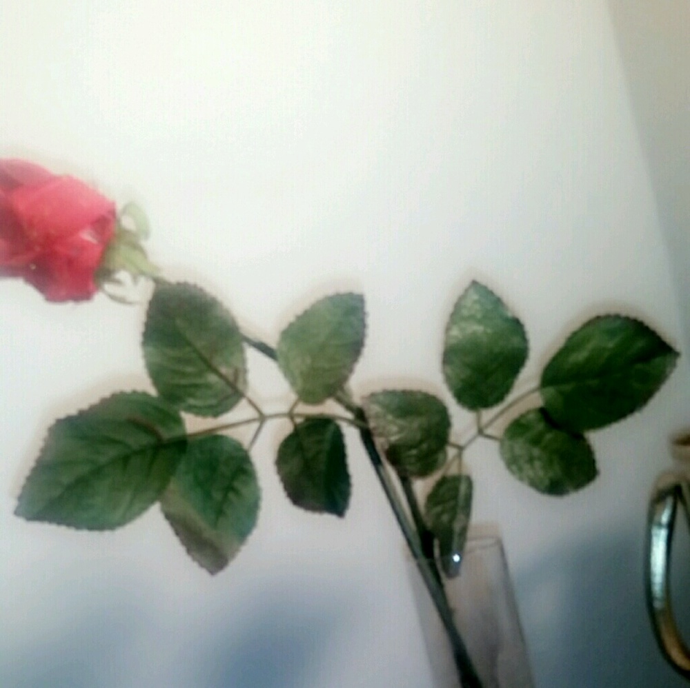 Meet your Posher, Sere