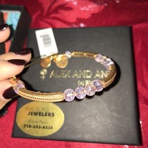 Alex-and-Ani-Glacial-Bracelet