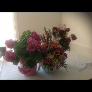 Meet your Posher, Louise