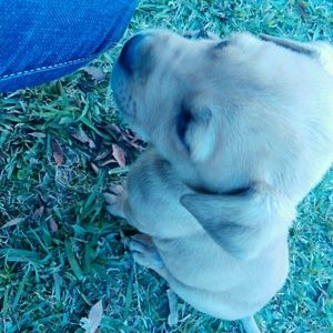 Meet your Posher, Selene