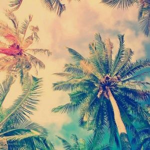 Meet your Posher, Madysen