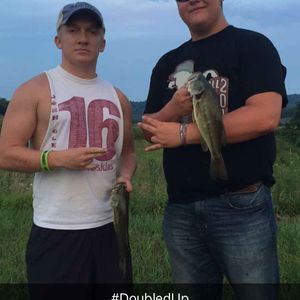 Meet your Posher, Colin