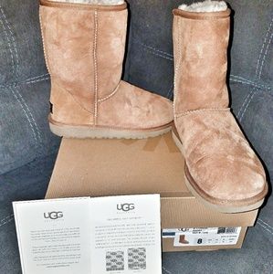 Ugg Classic Short Boot Chestnut