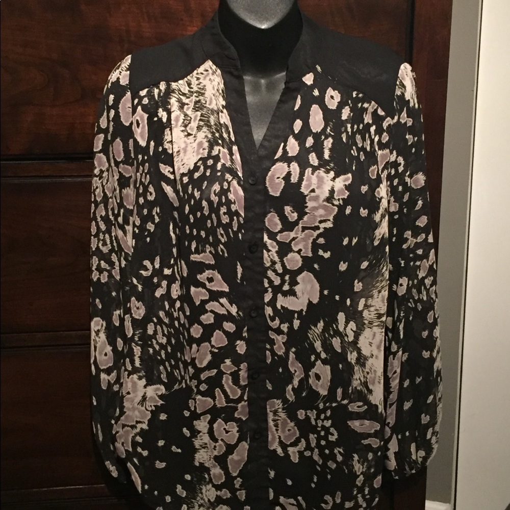 Sheer collared top - Picture 2 of 3