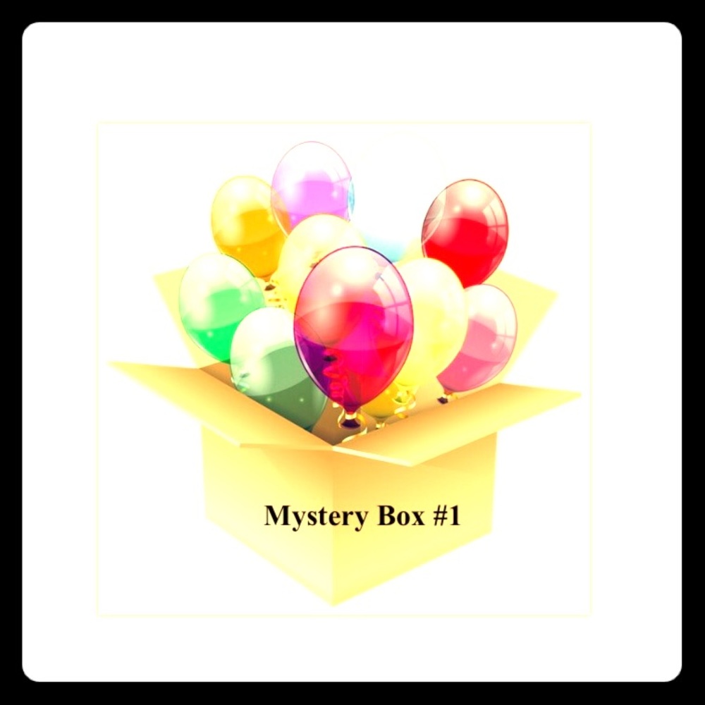 Mystery Box #1 NWT EUC GUC PLUS size clothes bags