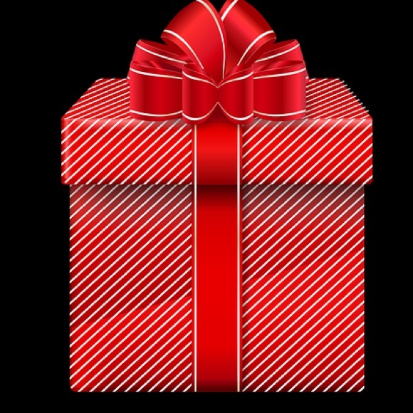 Mystery Box #1 NWT EUC GUC PLUS size clothes bags - Picture 2 of 7