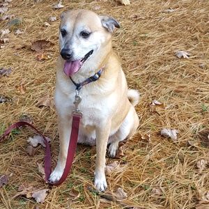 Meet your Posher, Rosemarie