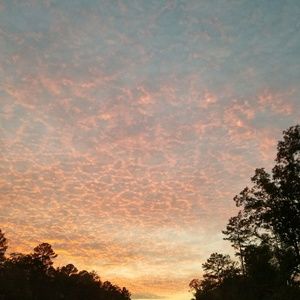 Meet your Posher, Shawntae