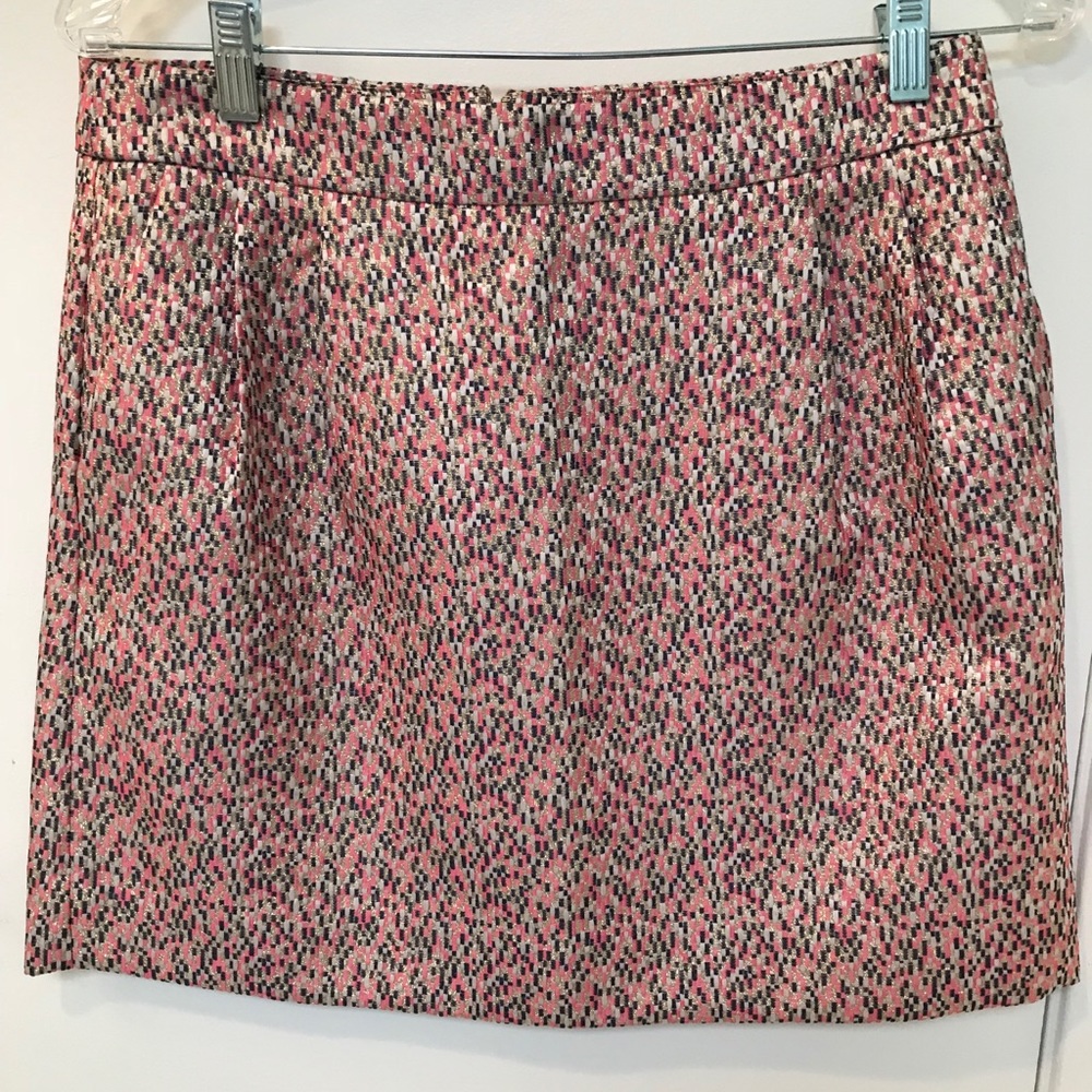 Holiday JCrew Skirt